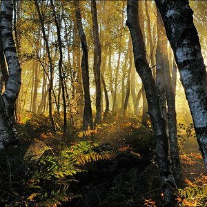 acomp Moor Eekholt 0100