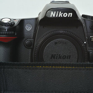 Sigma AF 105/2.8 D macro + TC-16A bei f/16