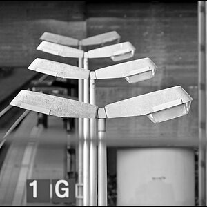 1G