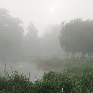 NF B 2010 09 05 07 30 26