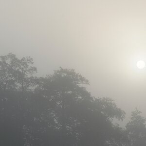 NF B 2010 09 05 07 31 33
