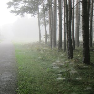 NF B 2010 09 05 09 24 07