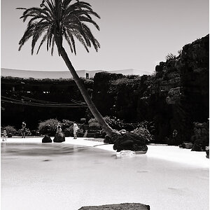 JDA

Fuji FinePix S9600 @ 10mm