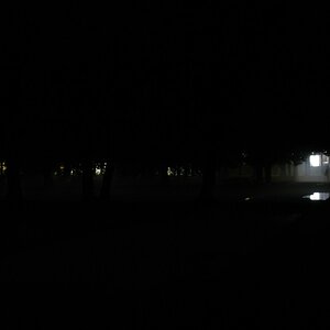 Kili im Park