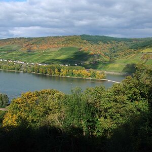 Rhein bei Lorch