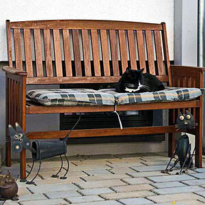 Katzenkonferenz