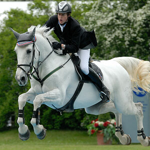 20100516 152803a pferd internatio