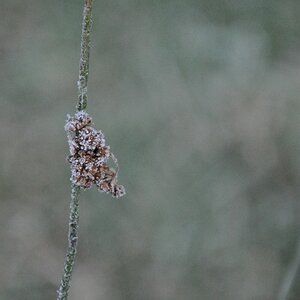 NFF Cymru 48