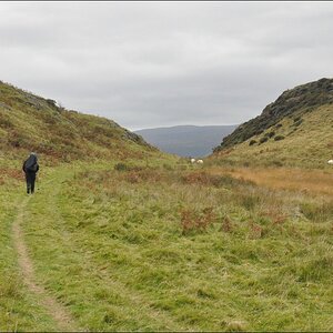 NFF Cymru 54