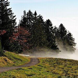 Mittag5 web