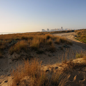 20101009 090131