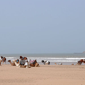 On the beach of Essaouira