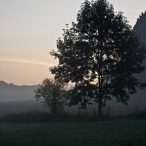 Nebel