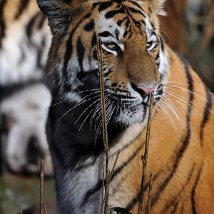 zoo19