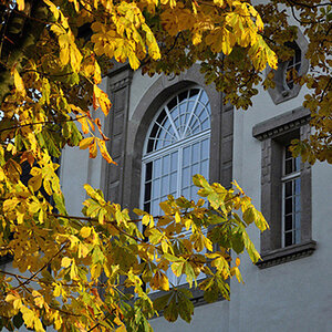 Herbst 2010 06 n.icon