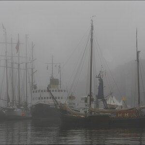 acomp nebel 0218