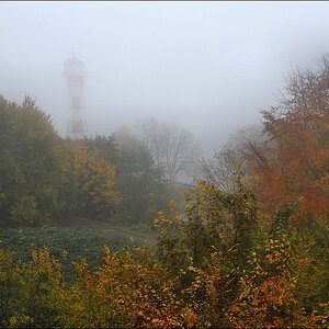 acomp nebel 0308