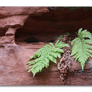 DSCF1075onl