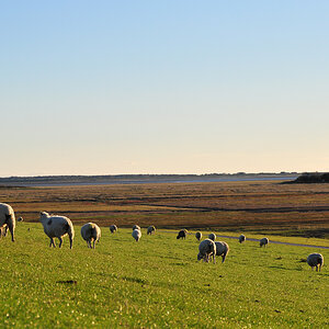 westerhever - Test Schwenkdisplay