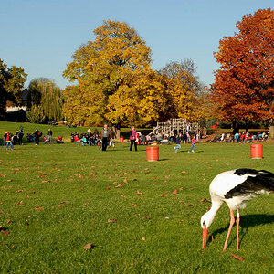 luisenpark okt 2010 01a