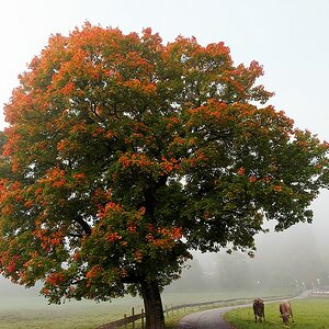 Herbst 02