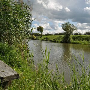 comp DSC 1715p 2