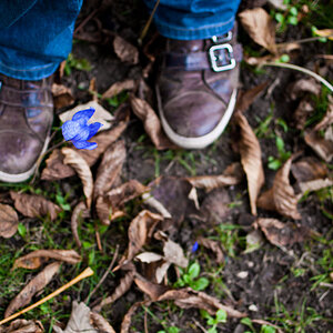 Herbst 2