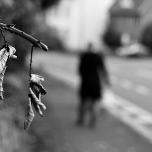 Herbst 1