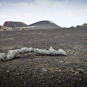 Blick auf Capelinhos / Faial