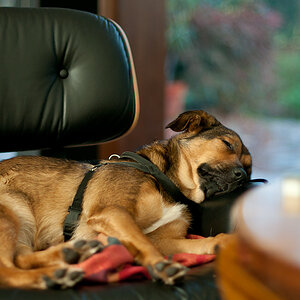 auf'm Eames Chair