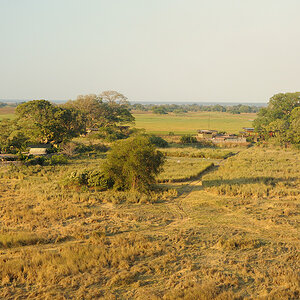 DSC4286 NFF