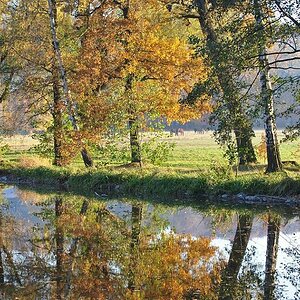 Herbst im Grünfelder Park