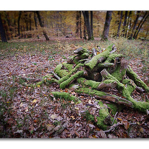 DSCF1085onl