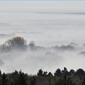 Morgennebel in der Hahnheide 07