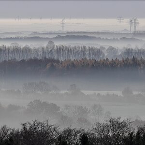 Morgennebel in der Hahnheide 09