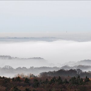 Morgennebel in der Hahnheide 11