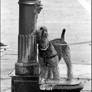 Venedig 11 2010 74