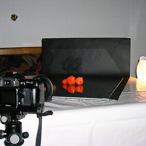 Making Off für das Lampion-Blüten-Foto