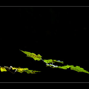LichtDSC 0123