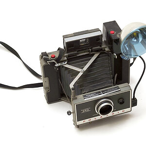Polaroid 1