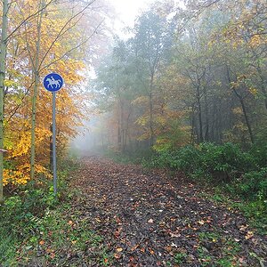 comp herbst