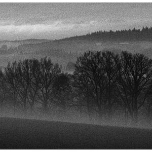 nebel