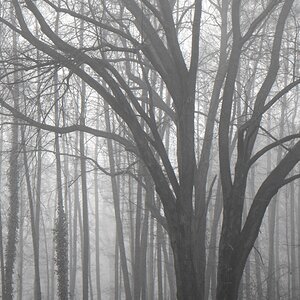 NF B 2010 11 21 12 40 00 sw