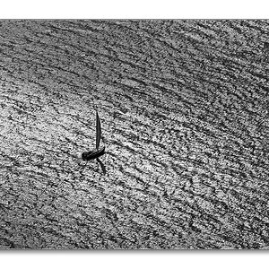 swDSCF0994sw