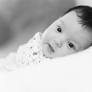 Baby Stein sw 005