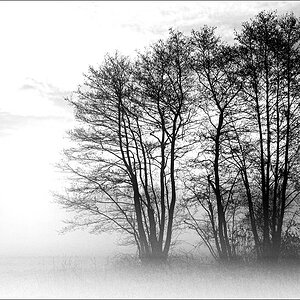 Nebel Emsland 09 / 2009