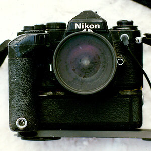 Nikon FE2 Winter