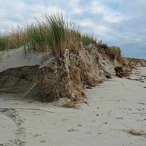 Borkum: Dünenabbrüche nach Sturmflut, Südstrand/Ronde Plate (MHX 6896AKUSMx)