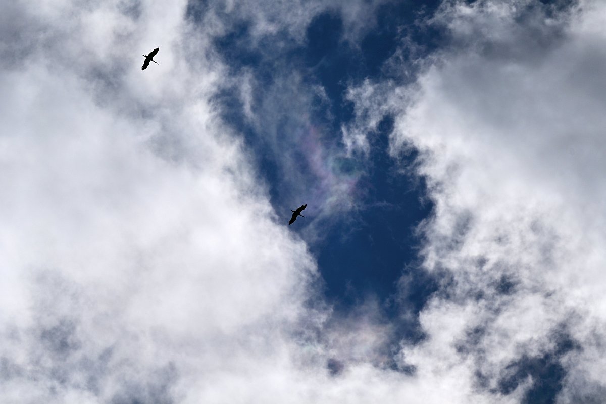 Über den Wolken 2.jpg
