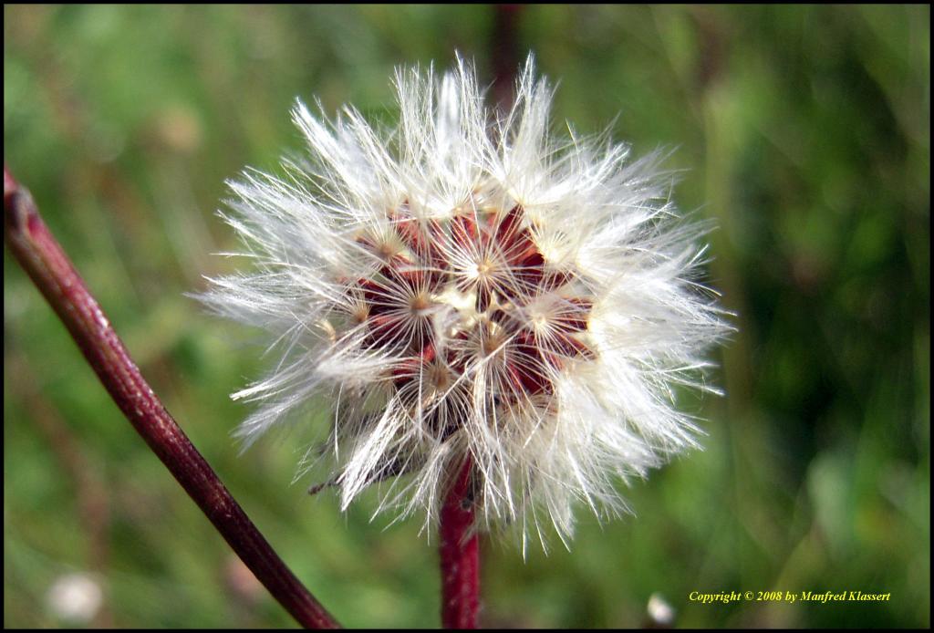 • Makro •

Nikon Coolpix S600